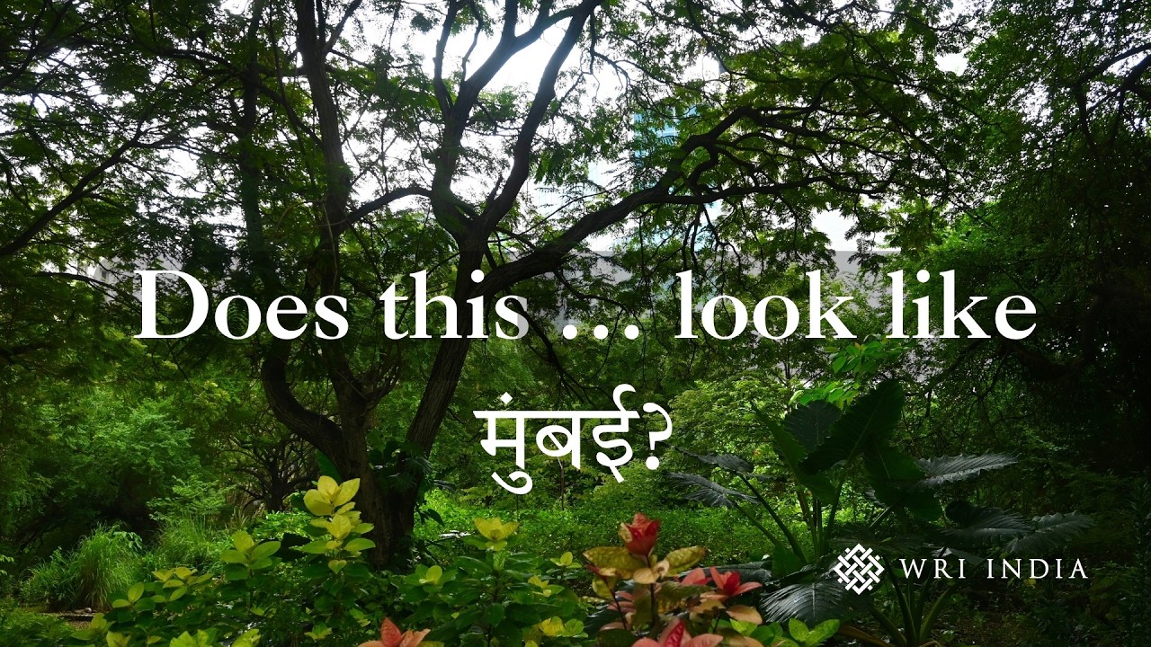 Marol Urban Forest Marks a Milestone in Mumbai’s Journey Towards a Greener Future