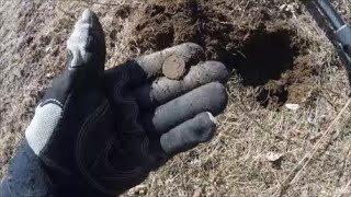 Metal Detecting New England in Search of Colonial