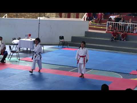TORNEO SHITOKAI LC19 CCSKTR3