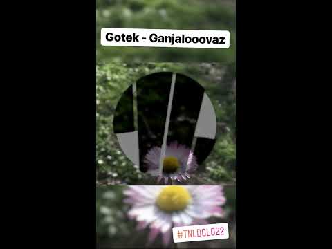 TNLDGL022 - Gotek  "Ganjalooovaz"
