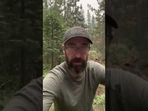 End of Day 4 | We are calling the search