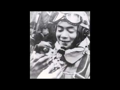 A. E. Bizottság : Kamikázé