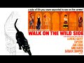 Walk on the Wild Side - Elmer Bernstein