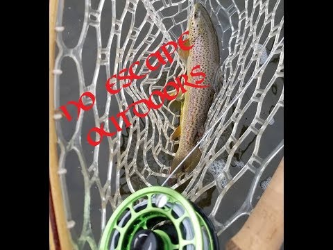 Late Season Delaware river fly fishing