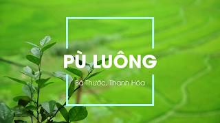 preview picture of video 'Pu Luong Nature Reserve | Một thoáng Pù Luông, Thanh Hóa | Full HD Footage'