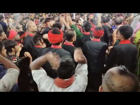 Boro bohula mukambari. Habiganj.