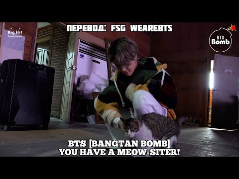 [Rus Sub] [Рус Суб] [BANGTAN BOMB] You Have a Meow-sitor! - BTS (방탄소년단)