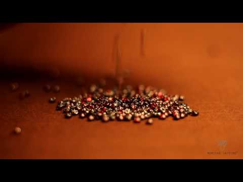 Cruise by Monisha Jaising - Behind the Scenes