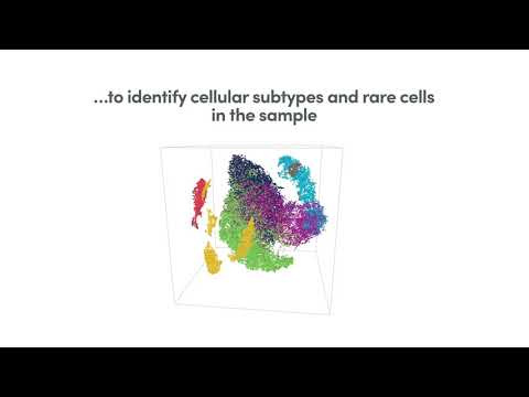 How it Works | Chromium Single Cell Gene Expression Solution