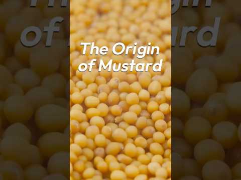 Mustard's Ancient Journey: From Seeds to Sauce!