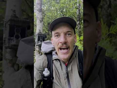 Out for a morning run and a chance to pick up my Voopeak trail cameras before I fly back to NZ