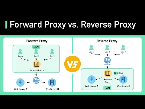 Proxy vs Reverse Proxy (Real-world Examples)