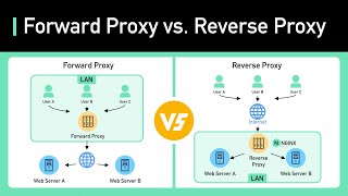Proxy vs Reverse Proxy (Real-world Examples)