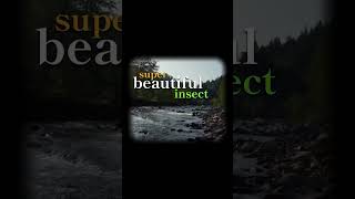 【羽継烏有】聽君一席話如聽一席話【Holostars】