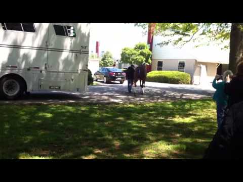 download lagu mp3 mp4 Churchill Downs Kentucky Derby Entries, download lagu Churchill Downs Kentucky Derby Entries gratis, unduh video klip Churchill Downs Kentucky Derby Entries