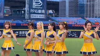 【Passion Sisters】#荷律#妮可#貴貴#丹妃#希希#小迪（OH MY BUDDY）#台湾チアリーディングチーム#中華職棒#CPBL#洲際#20240908