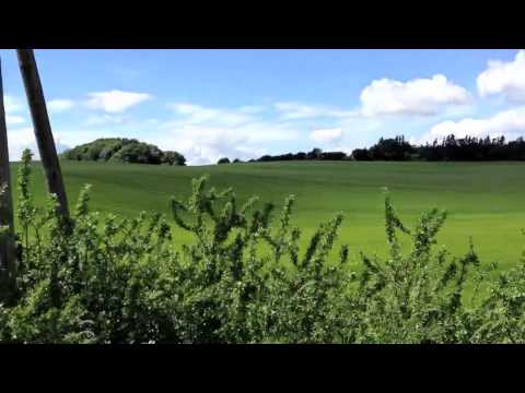 Skinnecykler, Assens