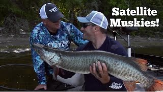 Musky!  Satellite Muskies