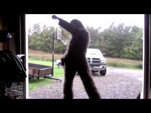 Bigfoot Dancing