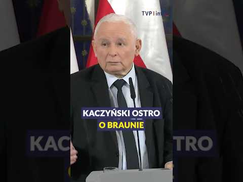 Kaczyński: partii Brauna nie powinno być w Sejmie #polityka #polska #shorts