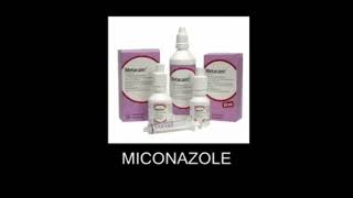 The Drugs Song | Amateur Transplants *UPDATE*