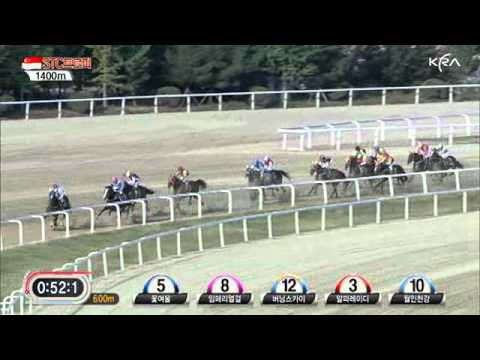 2011 STC Singapore Trophy - Imperial Girl