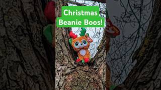 TinselToes the new reindeer Beanie Boo 🎄❤️ #christmas #ty #beanieboos