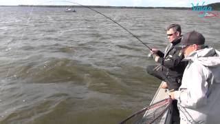 Fox rage terminator jigger pro