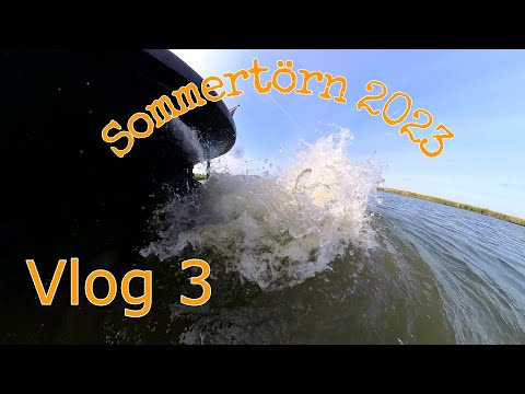 Sommertörn 2023 Vlog 3 Unterwegs in der Biesbosch