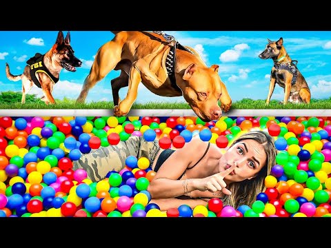 ME ESCONDI NA PISCINA DE BOLINHAS DOS CÃES FAREJADORES !!