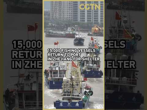 15,000 fishing vessels return to port in Zhejiang for shelter