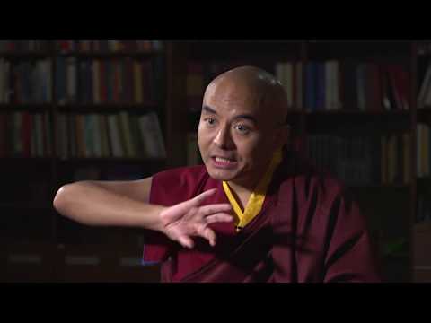 Why is it important for us to understand death and dying?