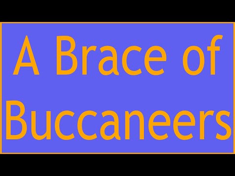 Nick Knows Nerf - A Brace of Buccaneers