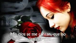 Y Que Me Importa (con letra) Conjunto Primavera