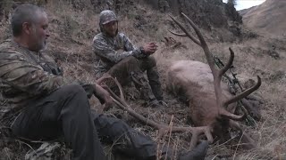 Oregon 7x6 Elk Hunt, Hells Canyon