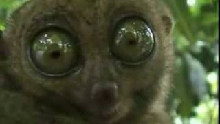 Hurry Up And Wait...