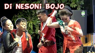 Download lagu Percil di nesoni wenzhu di tambah di nesoni bojone mp3 Download lagu Percil di nesoni wenzhu di tambah di nesoni bojone mp3