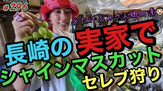 長崎の実家でセレブリティーシャインマスカット爆狩り体験をしたまじで田舎っていいなみたいなvlog動画ですw