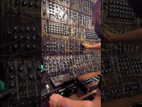 Model-3c 2017 - boiserie et clavier moog 953 duophonique image 19