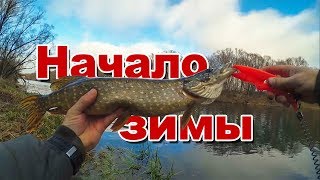 Отчеты о рыбалке ростов на дону