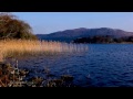 Relaxing Lake Waves Nature Sounds Ambience - Lake Water Lapping Sound & Birds Singing for Sleeping