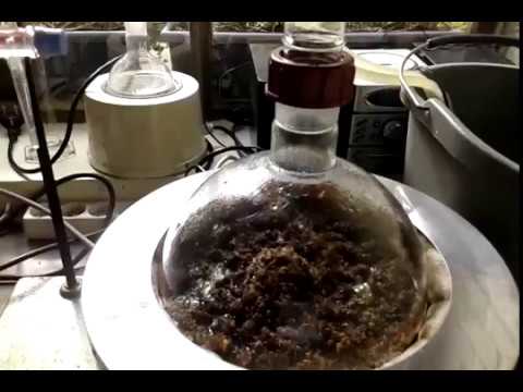 Distillation de lavande