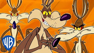 Looney Tunes | Wile E Coyote Genius Extraordinaire | 30 Minutes