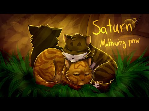 Saturn - A Mothwing Warriorcats pmv