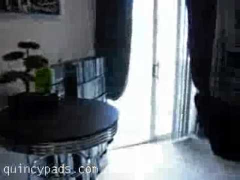 Unbelievable apartment for rent in Quincy MA