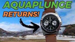 Rotary Aquaplunge. A Desirable Rotary?! 