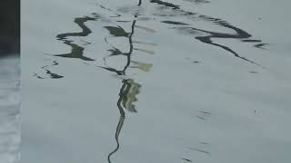 Mark Knopfler, River towns