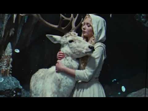 video frame placeholder