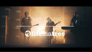 Life In A Tree: The Odds [OFFICIAL VIDEO]
