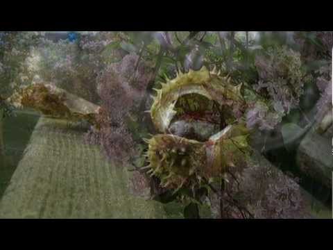 Nie chodź po parku sama - Piotr Szczepanik.avi